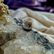 "Ezüst tenyérben" hamvas medál – 1 cm-es gyönggyel